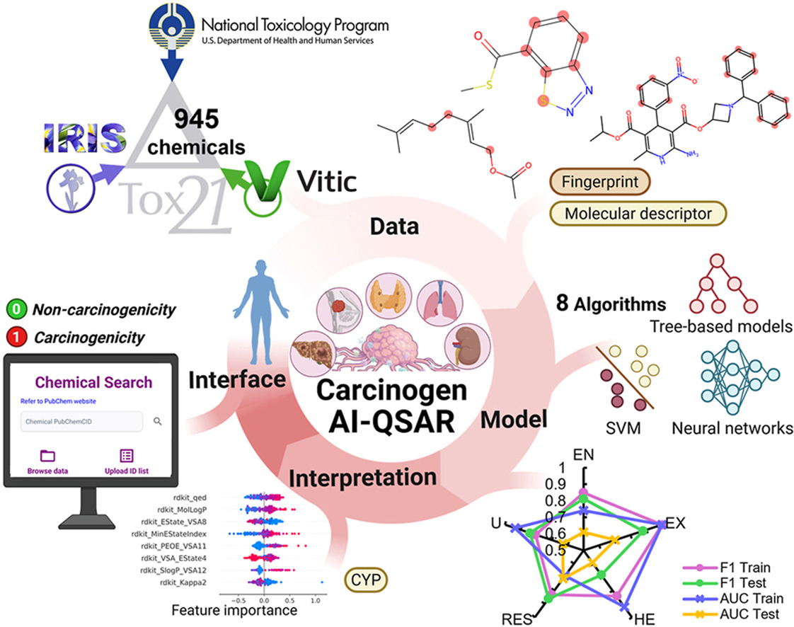 Representative figure for Toxicophore-informed machine learning integrating Tox21 assay readouts for organ system-specific carcinogenicity prediction