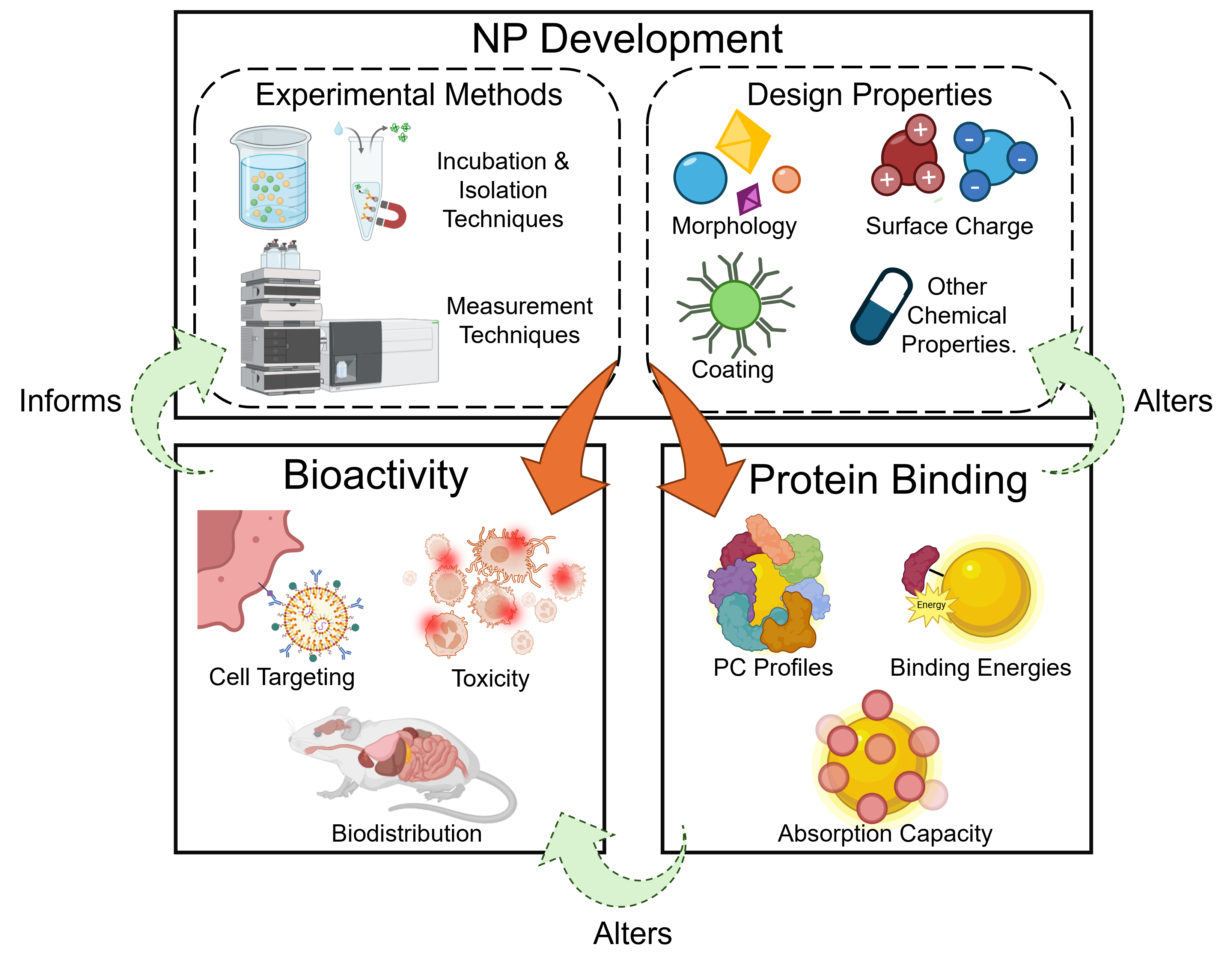 Representative figure for Advancing nanomedicine with machine learning: predicting protein corona and nano-bio interactions