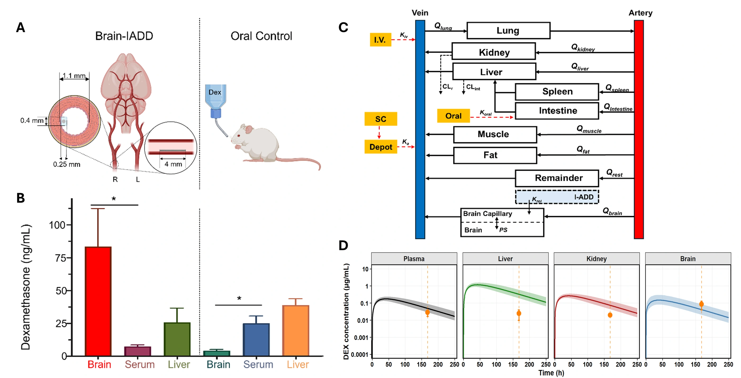 Regional drug-delivery framework connecting device release and intra-arterial administration with tissue concentration measurements and whole-body PBPK modeling.